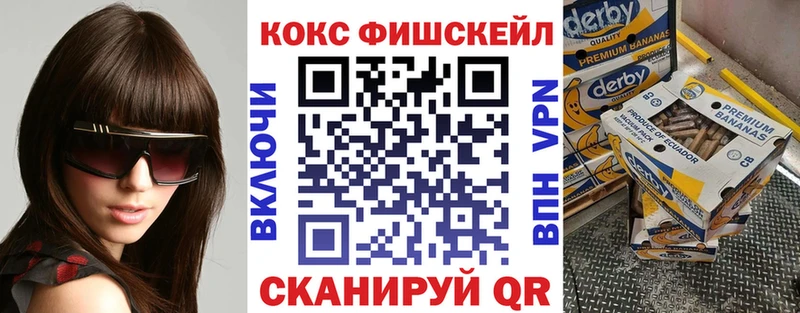 Cocaine FishScale  Купить  Бирюсинск 