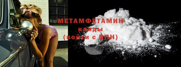 прущие грибы Горно-Алтайск