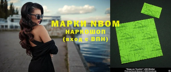 прущие грибы Горно-Алтайск