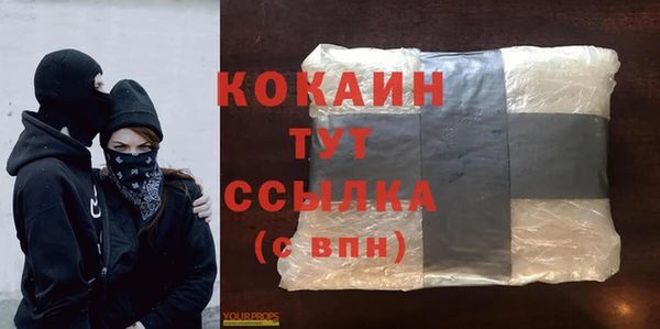 прущие грибы Горно-Алтайск