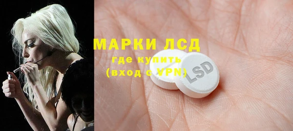 прущие грибы Горно-Алтайск
