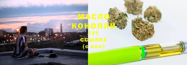 прущие грибы Горно-Алтайск