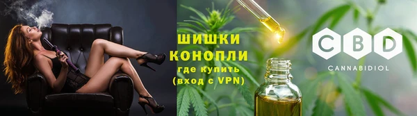 прущие грибы Горно-Алтайск
