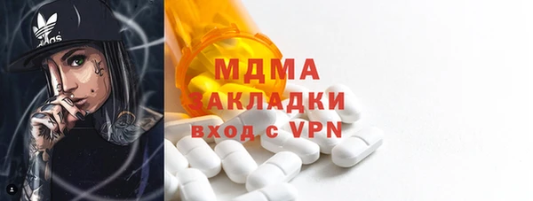 прущие грибы Горно-Алтайск