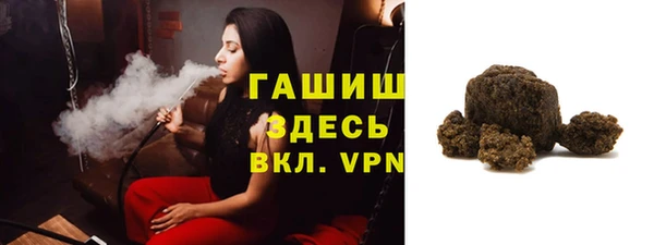 прущие грибы Горно-Алтайск
