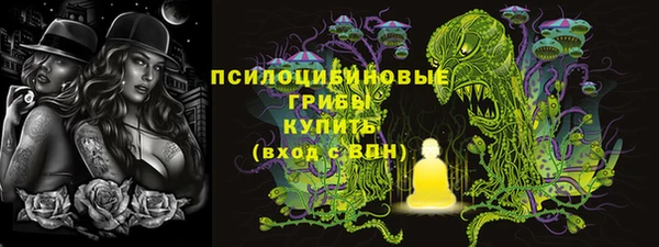 прущие грибы Горно-Алтайск