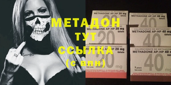прущие грибы Горно-Алтайск