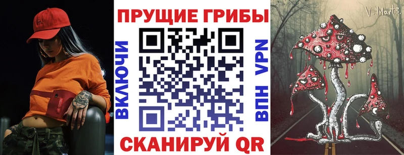 Галлюциногенные грибы Psilocybine cubensis  Купить где  Бирюсинск 